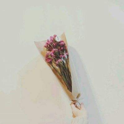 辞职后的一年九游游戏下载